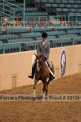 Proof 09yn-06532