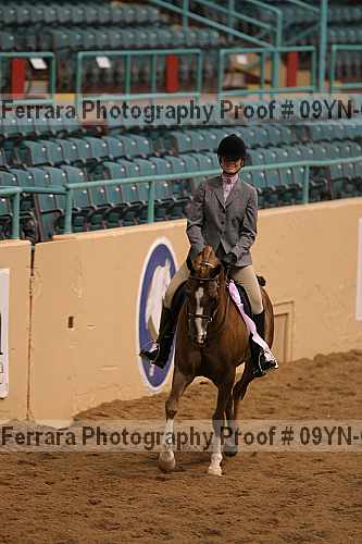 Proof 09yn-06534