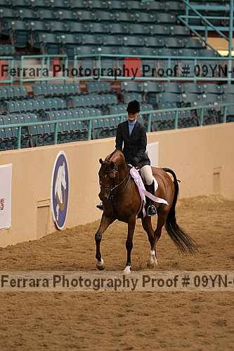 Proof 09yn-06536