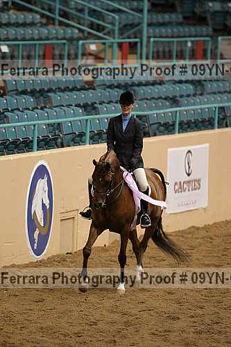 Proof 09yn-06537