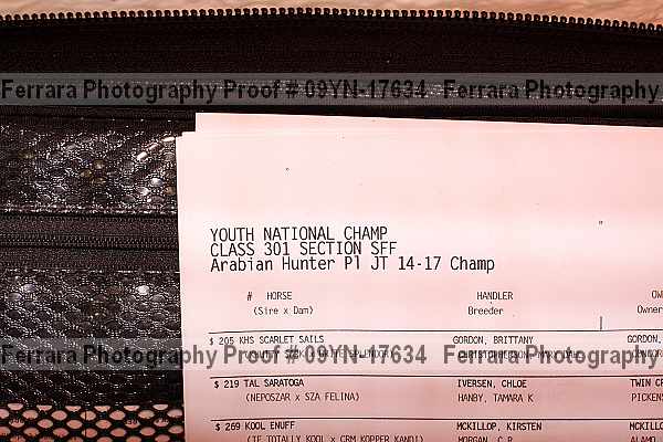 Proof 09yn-17634