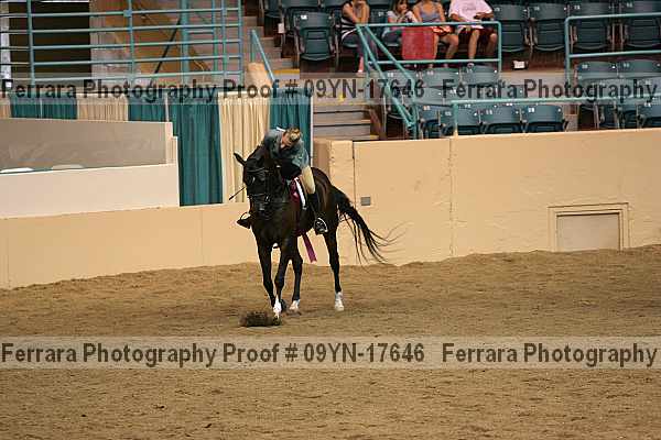 Proof 09yn-17646