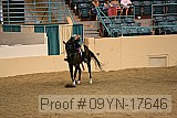 09yn-17646 proof