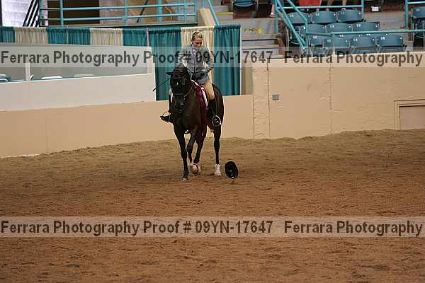 Proof 09yn-17647