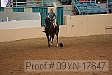 09yn-17647 proof