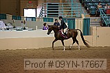 09yn-17667 proof