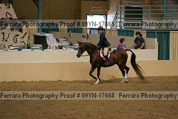 Proof 09yn-17668
