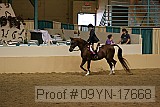 09yn-17668 proof