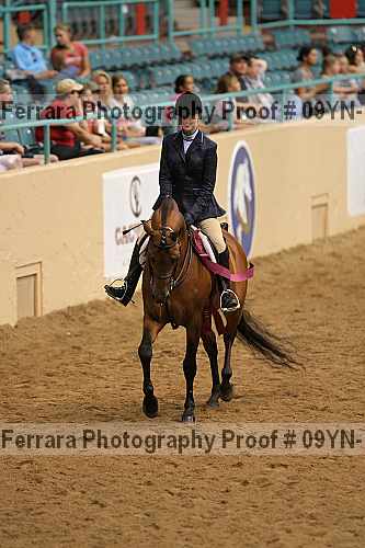 Proof 09yn-17669