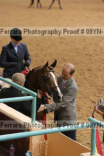 Proof 09yn-17679