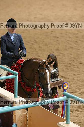 Proof 09yn-17681
