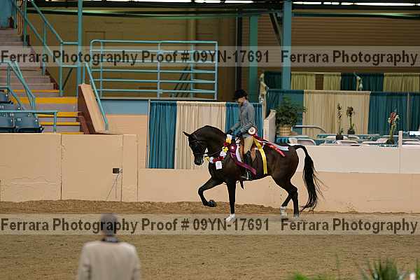 Proof 09yn-17691