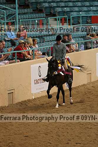 Proof 09yn-17693