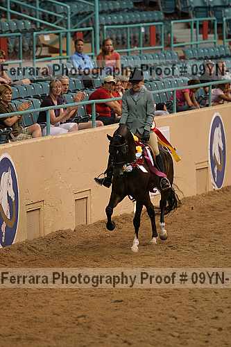 Proof 09yn-17694