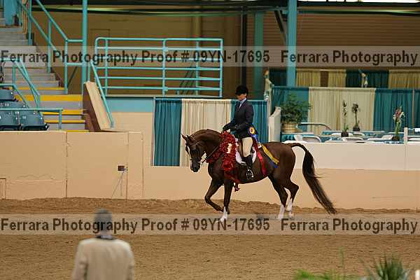 Proof 09yn-17695