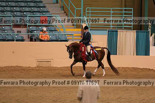 Proof 09yn-17697