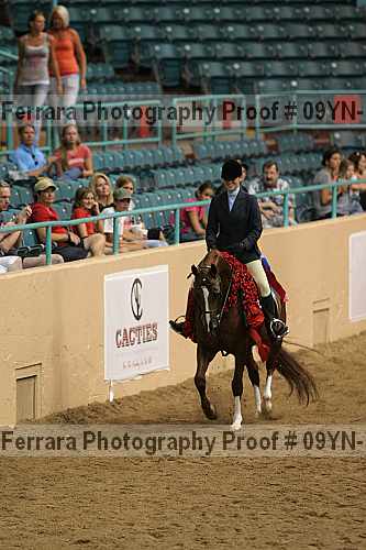 Proof 09yn-17699