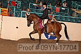 09yn-17704 proof