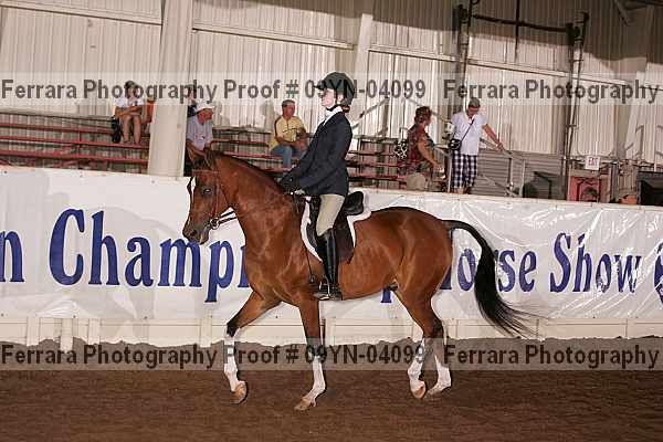 Proof 09yn-04099