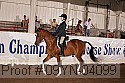 09yn-04099 proof