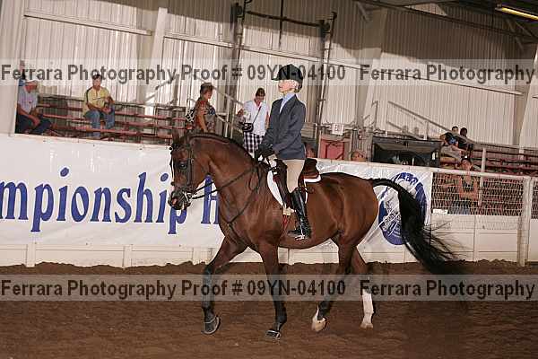 Proof 09yn-04100