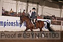 09yn-04100 proof