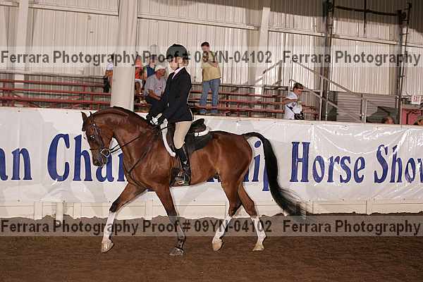 Proof 09yn-04102