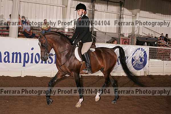 Proof 09yn-04104