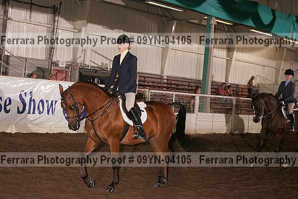 Proof 09yn-04105