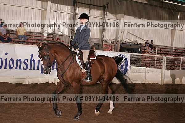 Proof 09yn-04106