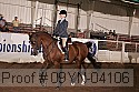 09yn-04106 proof
