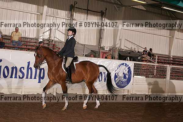 Proof 09yn-04107