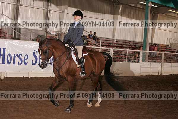 Proof 09yn-04108