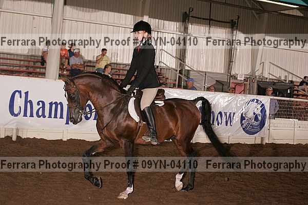 Proof 09yn-04110