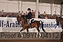 09yn-04112 proof