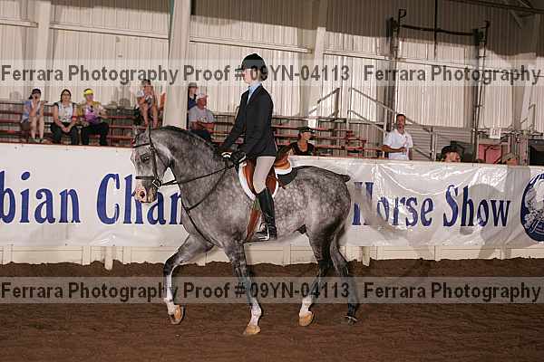 Proof 09yn-04113