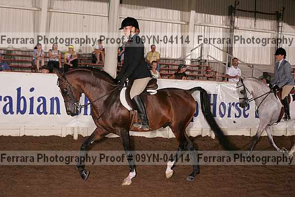 Proof 09yn-04114