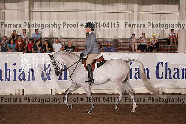 Proof 09yn-04115