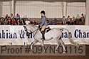 09yn-04115 proof
