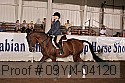 09yn-04120 proof