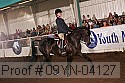 09yn-04127 proof