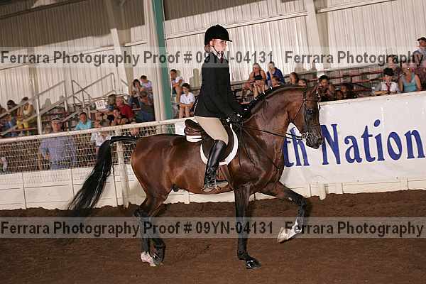 Proof 09yn-04131