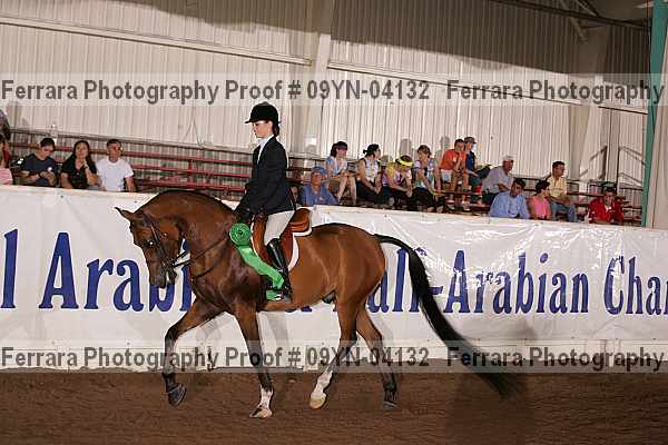 Proof 09yn-04132