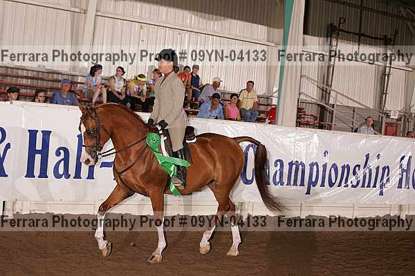 Proof 09yn-04133