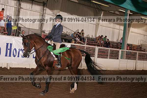 Proof 09yn-04134