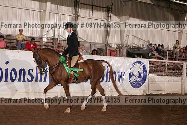 Proof 09yn-04135
