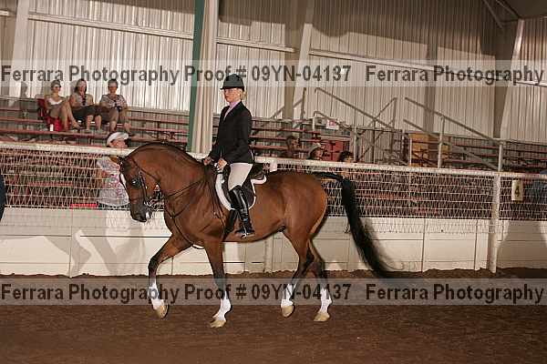 Proof 09yn-04137