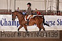 09yn-04139 proof