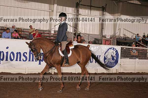 Proof 09yn-04141