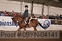 09yn-04141 proof